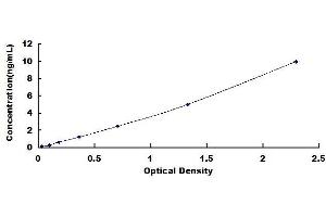 Typical standard curve (HAS2 ELISA Kit)