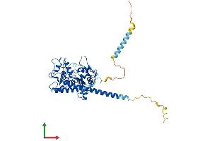 AlphaFold protein structure predicition of Mouse Recombinant Hs6st1 Protein, UniprotID Q9QYK5