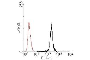 Flow Cytometry (FACS) image for anti-Bone Morphogenetic Protein 4 (BMP4) (AA 25-408) antibody (ABIN2703589)