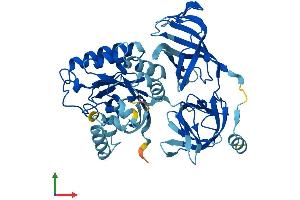 AlphaFold protein structure predicition of Human Recombinant EEF1A2 Protein, UniprotID Q05639