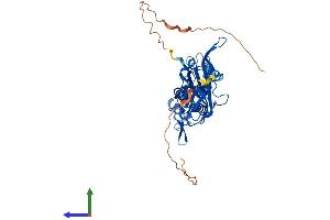 Protein Structure (PS) image for Potassium Inwardly-Rectifying Channel, Subfamily J, Member 5 (KCNJ5) (AA 1-419) protein (His tag) (ABIN7554248)