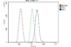 Flow Cytometry analysis of SiHa cells using anti-MUT antibody (ABIN4886676).