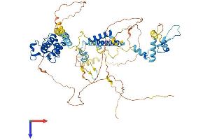 BRD7 Protein (AA 1-651) (His tag)