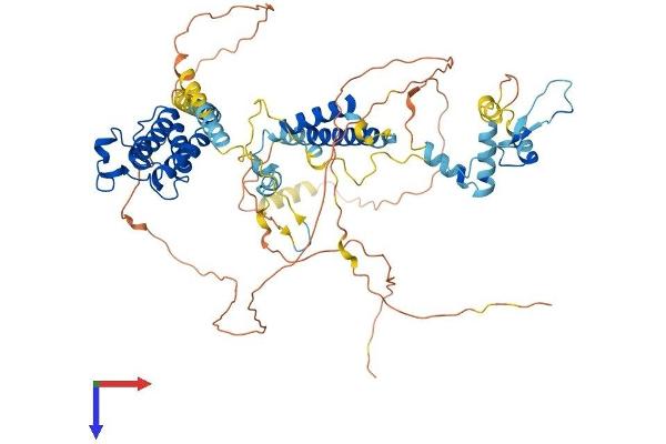 BRD7 Protein (AA 1-651) (His tag)