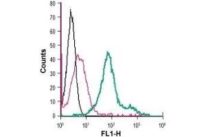 Cell surface detection of LPA receptor 2 in live intact mouse J774 macrophage cells: (black line) Cells. (EDG4 Antikörper  (Extracellular, N-Term) (FITC))