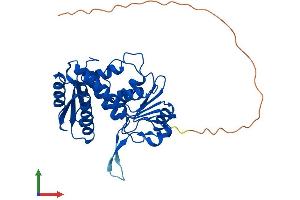 Protein Structure (PS) image for Methylenetetrahydrofolate Dehydrogenase (NADP+ Dependent) 2-Like (MTHFD2L) (AA 1-347) protein (His tag) (ABIN7549550)