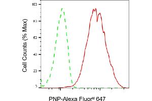 Flow cytometric analysis of PNP expression in HepG2 cells using PNP antibody (ABIN7800066), 1:2,000). (PNP Antikörper)