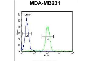 Flow cytometric analysis of MDA-MB231 cells (right histogram) compared to a negative control cell (left histogram). (PHD1 Antikörper  (AA 194-221))