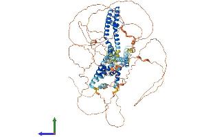 Protein Structure (PS) image for Potassium Voltage-Gated Channel, KQT-Like Subfamily, Member 2 (KCNQ2) (AA 1-872) protein (His tag) (ABIN7554287)