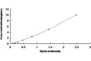 Typical standard curve (SIGLEC8 ELISA Kit)