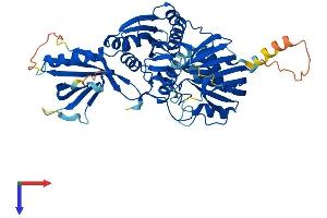CERK Protein (AA 1-531) (His tag)