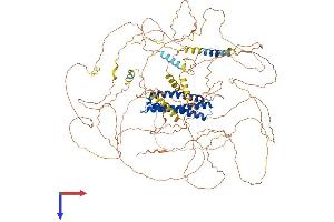 DLGAP2 Protein (AA 1-1054) (His tag)