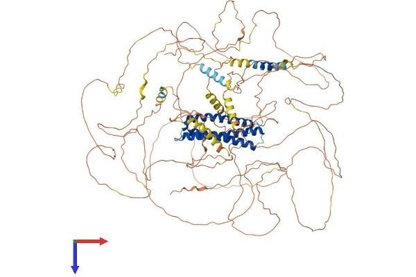 DLGAP2 Protein (AA 1-1054) (His tag)