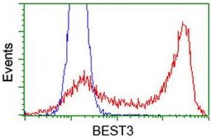 Flow Cytometry (FACS) image for anti-Bestrophin 3 (BEST3) antibody (ABIN1501730) (Bestrophin 3 Antikörper)