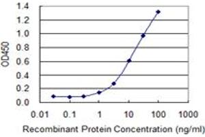 Detection limit for recombinant GST tagged TNFSF13B is 0. (BAFF Antikörper  (AA 118-222))
