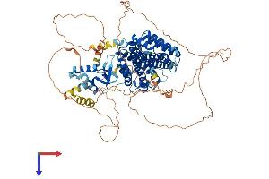 RFX3 Protein (AA 1-749) (His tag)
