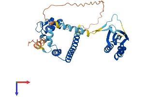 NECAB1 Protein (AA 1-351) (His tag)