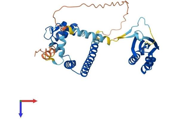 NECAB1 Protein (AA 1-351) (His tag)