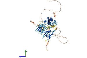 Protein Structure (PS) image for FYVE, RhoGEF and PH Domain Containing 3 (FGD3) (AA 1-733) protein (His tag) (ABIN7562670)