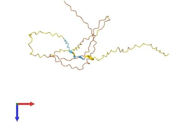 GCET2 Protein (AA 1-181) (His tag)