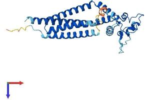Tetraspanin 5 Protein (TSPAN5) (AA 1-268) (His tag)