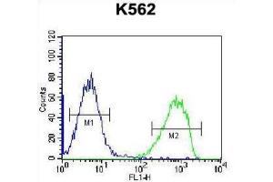 Flow Cytometry (FACS) image for anti-Serine Peptidase Inhibitor, Kazal Type 8 (SPINK8) antibody (ABIN2996842) (SPINK8 Antikörper)