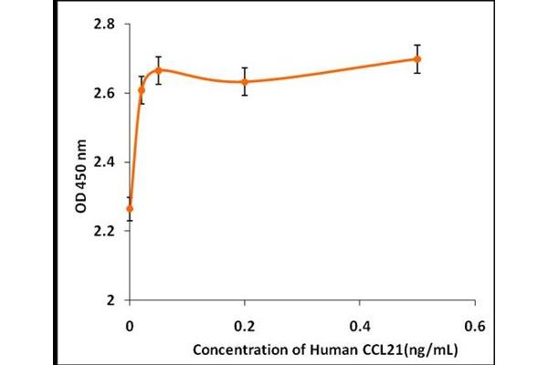 CCL21 Protéine