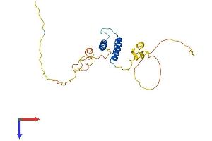 TCF23 Protein (AA 1-209) (His tag)