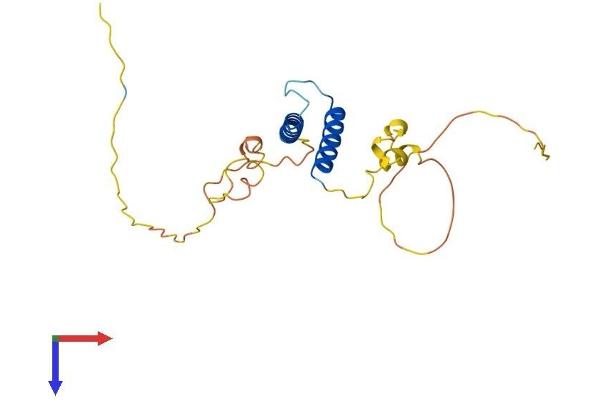 TCF23 Protein (AA 1-209) (His tag)