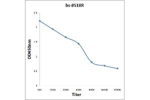 Antigen: 2 µg/100 µL  Primary: Antiserum, 1:500, 1:1000, 1:2000, 1:4000, 1:8000, 1:16000, 1:32000;  Secondary: HRP conjugated Rabbit Anti-Goat IgG at 1: 5000;  TMB staining Read the data in Microplate Reader by 450nm. (BARX1 Antikörper  (AA 185-254))