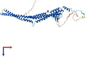 PACSIN3 Protein (AA 1-424) (His tag)