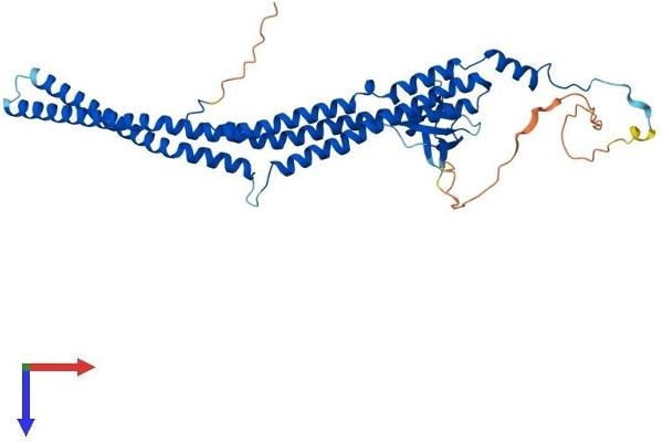 PACSIN3 Protein (AA 1-424) (His tag)