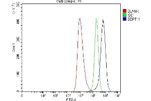 Flow Cytometry analysis of HEL cells using anti-Septin 11/SEPTIN11 antibody (ABIN7602925). (Septin 11 Antikörper  (C-Term))