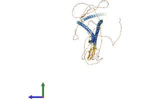 AlphaFold protein structure predicition of Mouse Recombinant Krt9 Protein, UniprotID Q6RHW0
