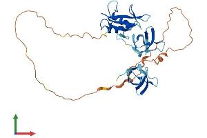 Protein Structure (PS) image for GRB2-Related Adaptor Protein 2 (GRAP2) (AA 1-330) protein (His tag) (ABIN7548069)
