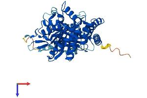 TUBA1C Protein (AA 1-449) (His tag)