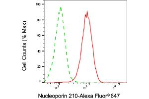 Flow cytometric analysis of Nucleoporin 210 expression in HepG2 cells using Nucleoporin 210 antibody (ABIN7799676), 1:1,000). (NUP210 Antikörper)
