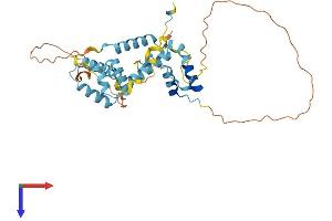 SNAPC2 Protein (AA 1-334) (His tag)