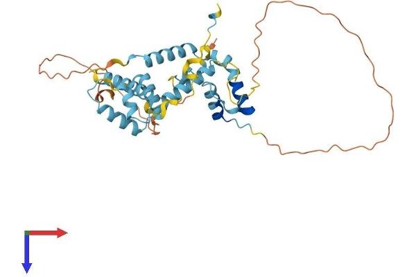 SNAPC2 Protein (AA 1-334) (His tag)