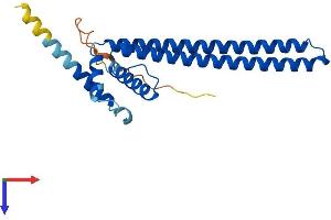 DGCR6 Protein (AA 1-220) (His tag)