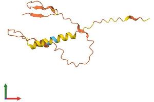 Protein Structure (PS) image for Down Syndrome Critical Region Gene 4 (DSCR4) (AA 1-118) protein (His tag) (ABIN7547238)