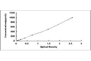 Typical standard curve (FGF8 ELISA Kit)