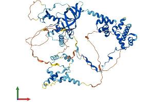 Protein Structure (PS) image for Metastasis Associated 1 Family, Member 2 (MTA2) (AA 1-668) protein (His tag) (ABIN7556210)