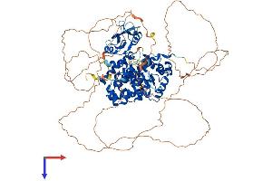 SH2D3C Protein (AA 1-854) (His tag)
