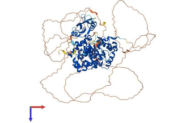 SH2D3C Protein (AA 1-854) (His tag)