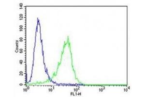 Flow Cytometry (FACS) image for anti-Receptor Tyrosine Kinase-Like Orphan Receptor 1 (ROR1) antibody (ABIN3032439)