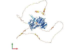 Protein Structure (PS) image for Synapsin II (SYN2) (AA 1-586) protein (His tag) (ABIN7557829)