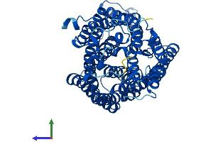 Protein Structure (PS) image for Cytochrome C Oxidase Subunit I (COX1) (AA 1-513) protein (His tag) (ABIN7546731)