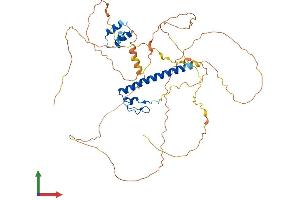 Protein Structure (PS) image for DMRT-Like Family A1 (DMRTA1) (AA 1-490) protein (His tag) (ABIN7559306)
