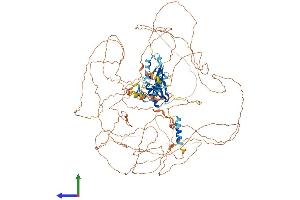 AlphaFold protein structure predicition of Mouse Recombinant R3hdm2 Protein, UniprotID Q80TM6